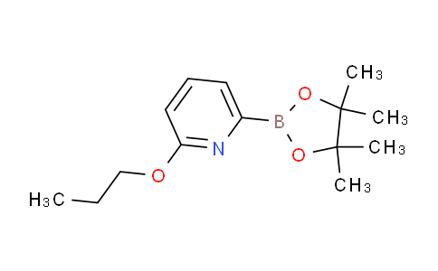 AM238960 | 1309982-31-7 | 2-Propoxy-6-(4,4,5,5-tetramethyl-1,3,2-dioxaborolan-2-yl)pyridine