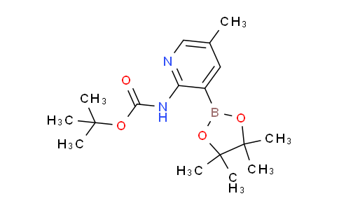 AM239582 | 1310404-52-4 | tert-Butyl (5-methyl-3-(4,4,5,5-tetramethyl-1,3,2-dioxaborolan-2-yl)pyridin-2-yl)carbamate