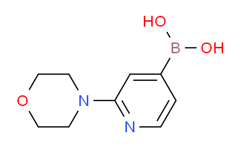 AM239960 | 952206-85-8 | (2-Morpholinopyridin-4-yl)boronic acid