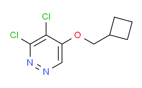 AM240052 | 1346698-16-5 | 3,4-Dichloro-5-(cyclobutylmethoxy)pyridazine