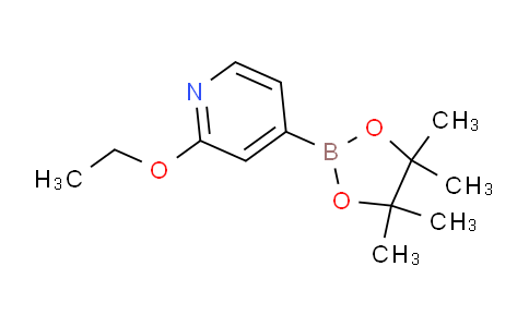 AM240321 | 957346-47-3 | 2-Ethoxy-4-(4,4,5,5-tetramethyl-1,3,2-dioxaborolan-2-yl)pyridine