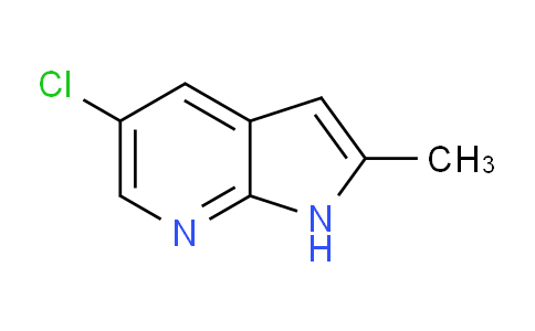AM240948 | 145934-81-2 | 5-Chloro-2-methyl-1H-pyrrolo[2,3-b]pyridine