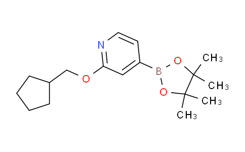 AM241021 | 1346708-01-7 | 2-(Cyclopentylmethoxy)-4-(4,4,5,5-tetramethyl-1,3,2-dioxaborolan-2-yl)pyridine