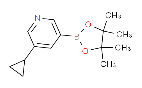 AM241471 | 1220696-43-4 | 3-Cyclopropyl-5-(4,4,5,5-tetramethyl-1,3,2-dioxaborolan-2-yl)pyridine