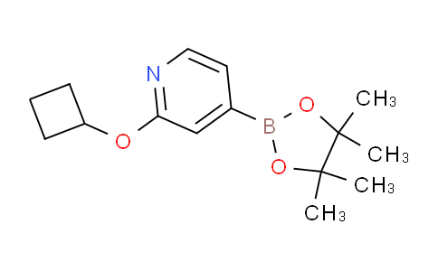 AM242148 | 1346707-96-7 | 2-Cyclobutoxy-4-(4,4,5,5-tetramethyl-1,3,2-dioxaborolan-2-yl)pyridine