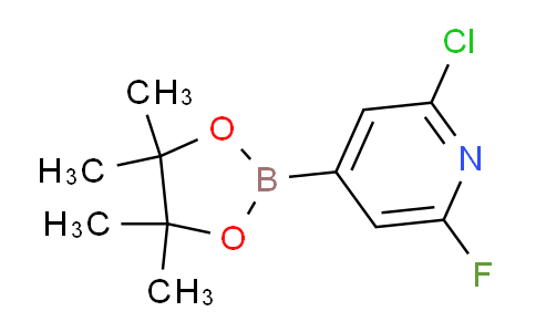 AM242426 | 1146615-89-5 | 2-Chloro-6-fluoro-4-(4,4,5,5-tetramethyl-1,3,2-dioxaborolan-2-yl)pyridine