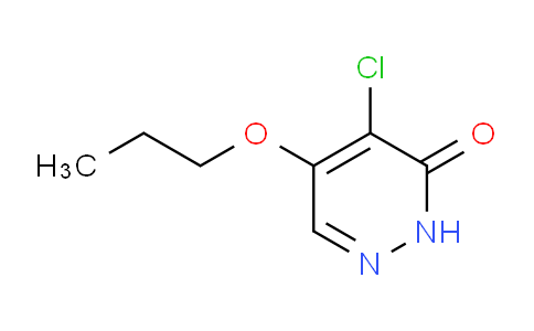 AM242441 | 1346697-44-6 | 4-Chloro-5-propoxypyridazin-3(2H)-one