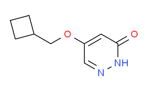 AM242566 | 1346697-86-6 | 5-(Cyclobutylmethoxy)pyridazin-3(2H)-one