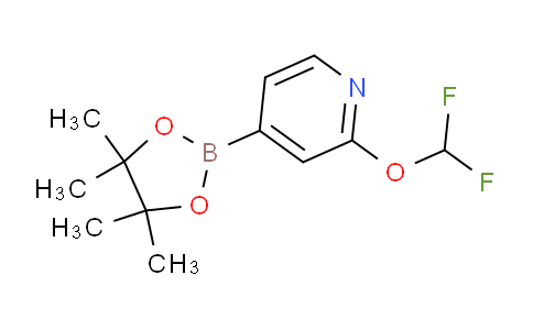 AM242992 | 1628116-87-9 | 2-(Difluoromethoxy)-4-(4,4,5,5-tetramethyl-1,3,2-dioxaborolan-2-yl)pyridine