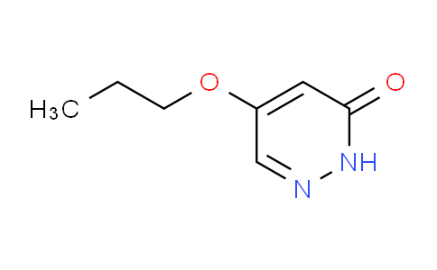 AM243089 | 1346697-71-9 | 5-Propoxypyridazin-3(2H)-one