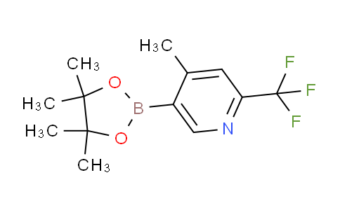 AM243843 | 1612287-99-6 | 4-Methyl-5-(4,4,5,5-tetramethyl-1,3,2-dioxaborolan-2-yl)-2-(trifluoromethyl)pyridine