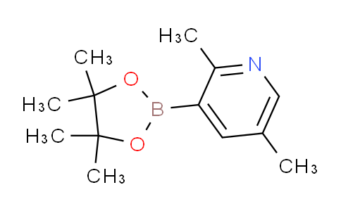 AM244001 | 1309980-12-8 | 2,5-Dimethyl-3-(4,4,5,5-tetramethyl-1,3,2-dioxaborolan-2-yl)pyridine