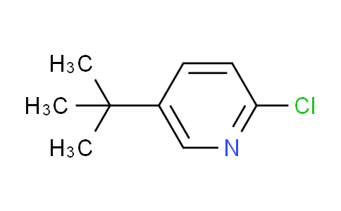 AM244176 | 102236-19-1 | 5-(tert-Butyl)-2-chloropyridine