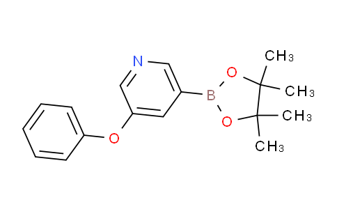AM244329 | 1309981-45-0 | 3-Phenoxy-5-(4,4,5,5-tetramethyl-1,3,2-dioxaborolan-2-yl)pyridine