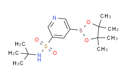 AM245868 | 1627905-88-7 | N-(tert-Butyl)-5-(4,4,5,5-tetramethyl-1,3,2-dioxaborolan-2-yl)pyridine-3-sulfonamide