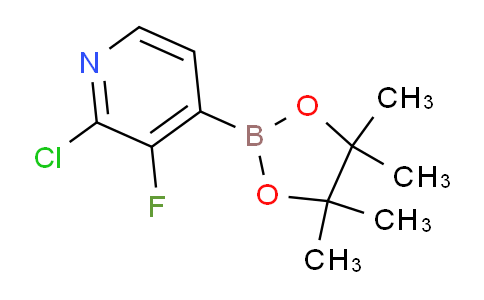 AM247095 | 1416367-16-2 | 2-Chloro-3-fluoro-4-(4,4,5,5-tetramethyl-1,3,2-dioxaborolan-2-yl)pyridine