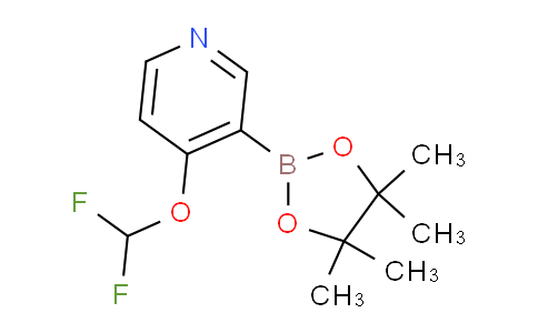 AM247609 | 1446443-21-5 | 4-(Difluoromethoxy)-3-(4,4,5,5-tetramethyl-1,3,2-dioxaborolan-2-yl)pyridine