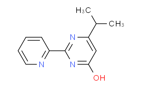 AM248370 | 874783-56-9 | 6-Isopropyl-2-(pyridin-2-yl)pyrimidin-4-ol