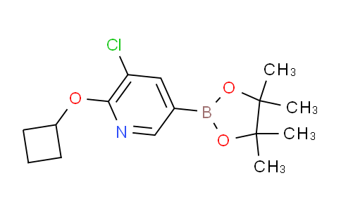 AM249311 | 1352573-92-2 | (5-Chloro-6-cyclobutoxypyridin-3-yl)boronic acid pinacol ester