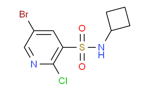 AM249325 | 1249439-24-4 | 5-Bromo-2-chloro-n-cyclobutylpyridine-3-sulfonamide