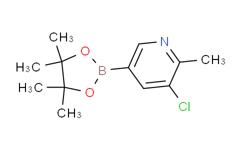 AM249419 | 1383985-18-9 | 3-Chloro-2-methyl-5-(4,4,5,5-tetramethyl-1,3,2-dioxaborolan-2-yl)pyridine