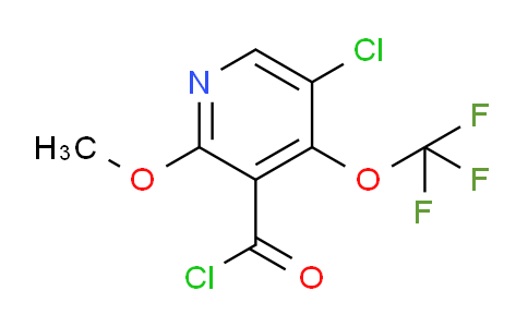 AM26248 | 1806239-96-2 | 5-Chloro-2-methoxy-4-(trifluoromethoxy)pyridine-3-carbonyl chloride