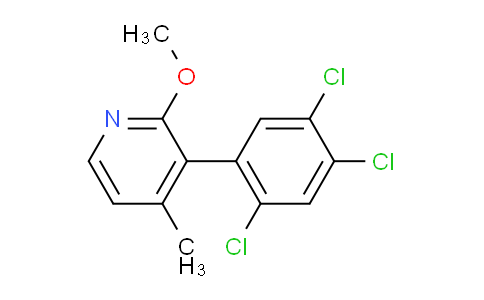 AM28571 | 1261648-64-9 | 2-Methoxy-4-methyl-3-(2,4,5-trichlorophenyl)pyridine