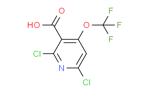 2,6-Dichloro-4-(trifluoromethoxy)pyridine-3-carboxylic acid