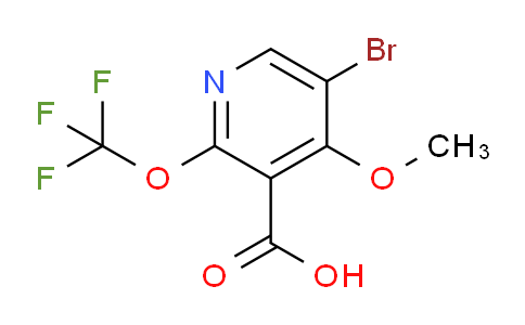 AM39954 | 1804600-03-0 | 5-Bromo-4-methoxy-2-(trifluoromethoxy)pyridine-3-carboxylic acid