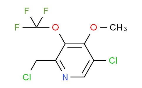 5-Chloro-2-(chloromethyl)-4-methoxy-3-(trifluoromethoxy)pyridine