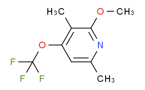 AM44053 | 1804564-13-3 | 3,6-Dimethyl-2-methoxy-4-(trifluoromethoxy)pyridine