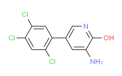 AM51101 | 1259478-98-2 | 3-Amino-2-hydroxy-5-(2,4,5-trichlorophenyl)pyridine