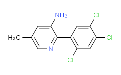AM51139 | 1259478-83-5 | 3-Amino-5-methyl-2-(2,4,5-trichlorophenyl)pyridine
