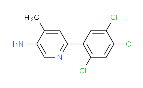 AM51142 | 1259477-43-4 | 5-Amino-4-methyl-2-(2,4,5-trichlorophenyl)pyridine
