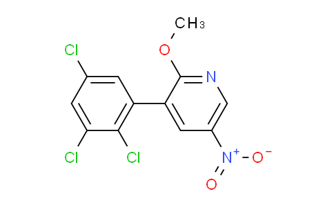 AM52910 | 1361667-07-3 | 2-Methoxy-5-nitro-3-(2,3,5-trichlorophenyl)pyridine