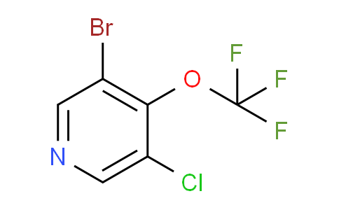 AM62352 | 1361795-56-3 | 3-Bromo-5-chloro-4-(trifluoromethoxy)pyridine