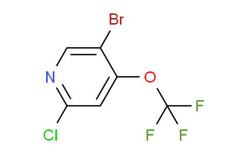 AM62361 | 1361893-19-7 | 5-Bromo-2-chloro-4-(trifluoromethoxy)pyridine