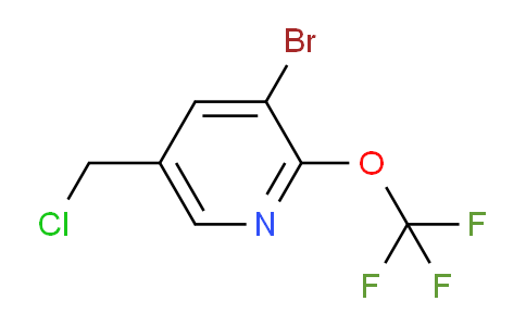 AM62592 | 1361838-67-6 | 3-Bromo-5-(chloromethyl)-2-(trifluoromethoxy)pyridine