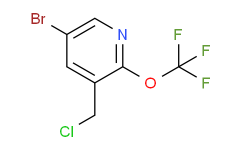 AM62594 | 1361493-25-5 | 5-Bromo-3-(chloromethyl)-2-(trifluoromethoxy)pyridine