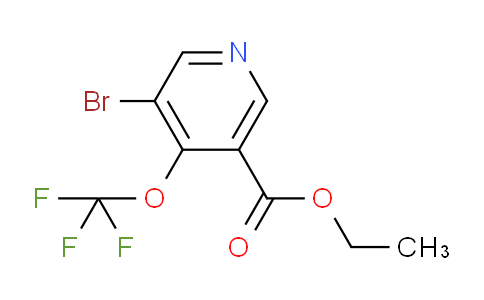 AM62849 | 1361855-89-1 | Ethyl 3-bromo-4-(trifluoromethoxy)pyridine-5-carboxylate