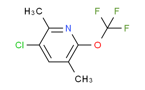 AM64175 | 1803637-08-2 | 3-Chloro-2,5-dimethyl-6-(trifluoromethoxy)pyridine