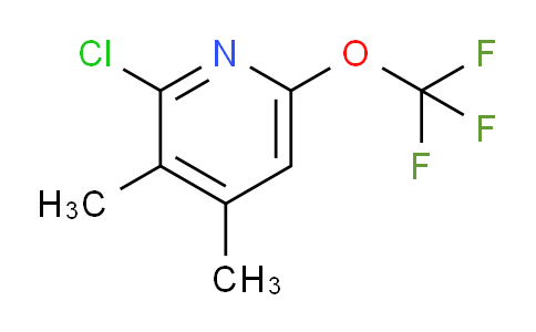 2-Chloro-3,4-dimethyl-6-(trifluoromethoxy)pyridine