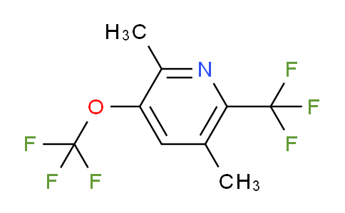 AM70244 | 1803637-63-9 | 2,5-Dimethyl-3-(trifluoromethoxy)-6-(trifluoromethyl)pyridine