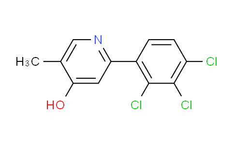 AM85569 | 1361666-17-2 | 4-Hydroxy-5-methyl-2-(2,3,4-trichlorophenyl)pyridine