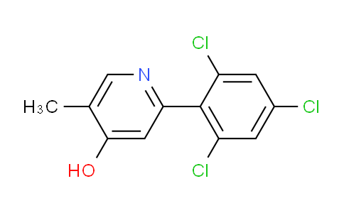 AM85570 | 1361677-67-9 | 4-Hydroxy-5-methyl-2-(2,4,6-trichlorophenyl)pyridine