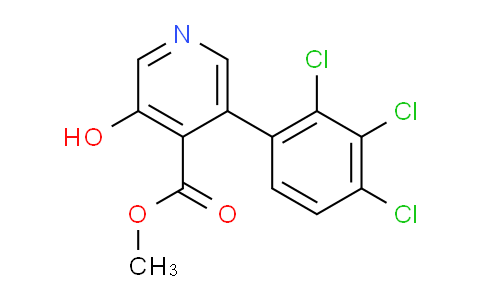 AM85798 | 1361530-87-1 | Methyl 3-hydroxy-5-(2,3,4-trichlorophenyl)isonicotinate