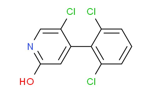 AM86066 | 1361548-15-3 | 5-Chloro-4-(2,6-dichlorophenyl)-2-hydroxypyridine