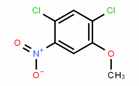2,4-氯-5-硝基苯胺