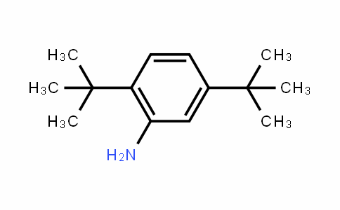 2,5-二叔丁基苯胺