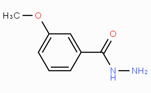 3-甲氧基苯酰肼